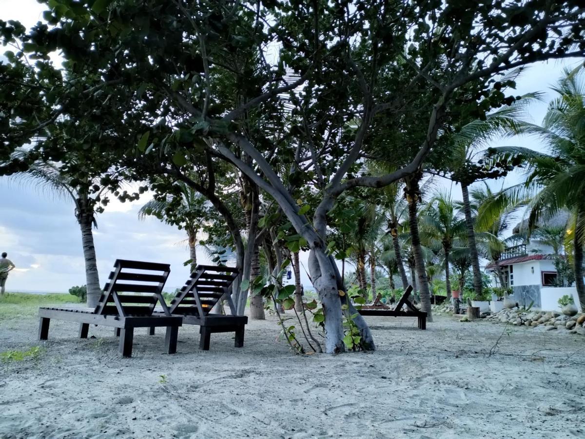Casa Palma Beach House Brisas de Zicatela Экстерьер фото