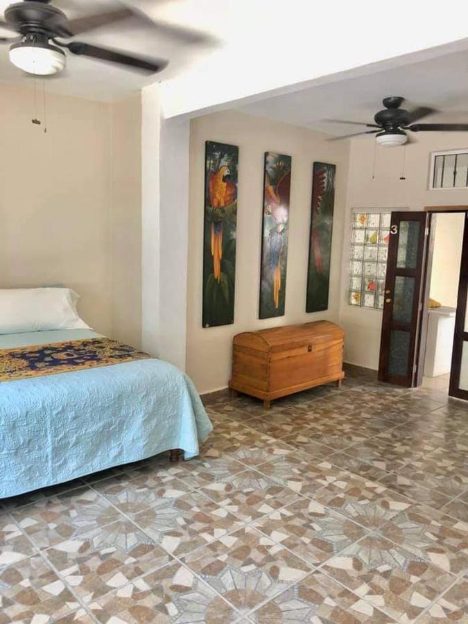 Casa Palma Beach House Brisas de Zicatela Номер фото