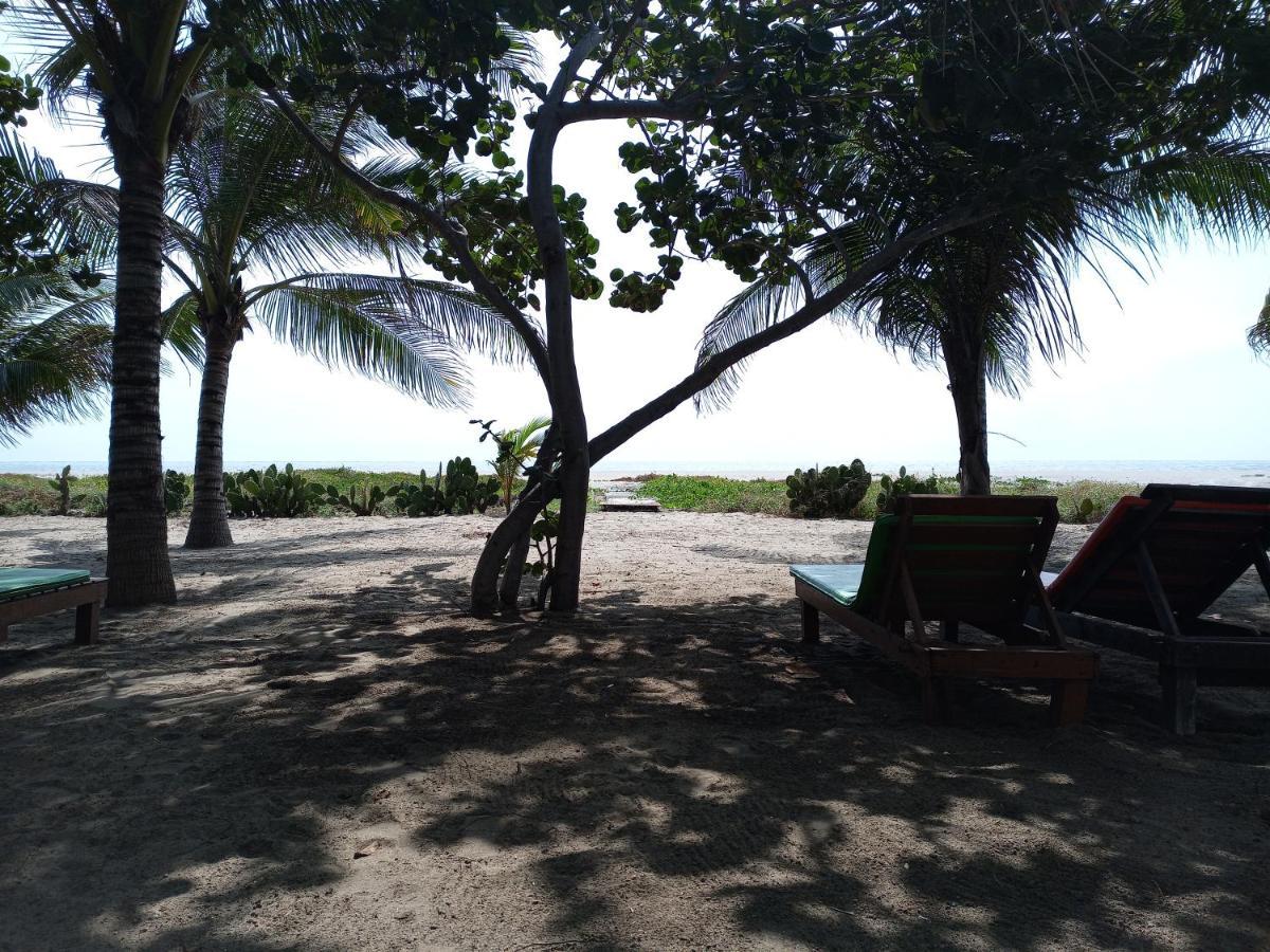 Casa Palma Beach House Brisas de Zicatela Экстерьер фото